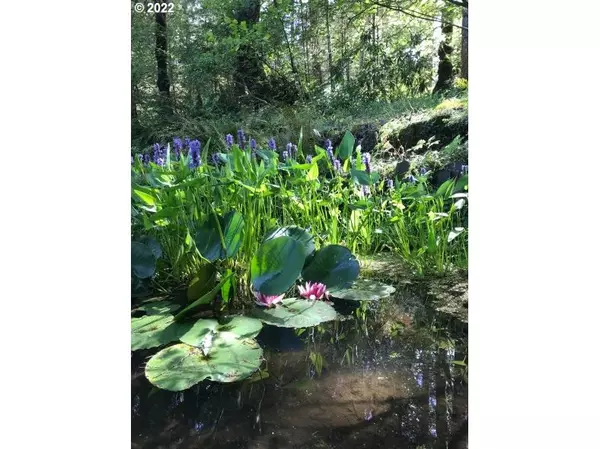 Elmira, OR 97437,90445 Baker RD