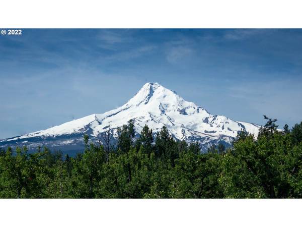 Mt Hood Prkdl, OR 97041,HWY 35 #201