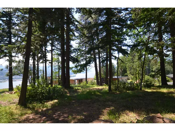 White Salmon, WA 98672,253 SW Westwinds RD