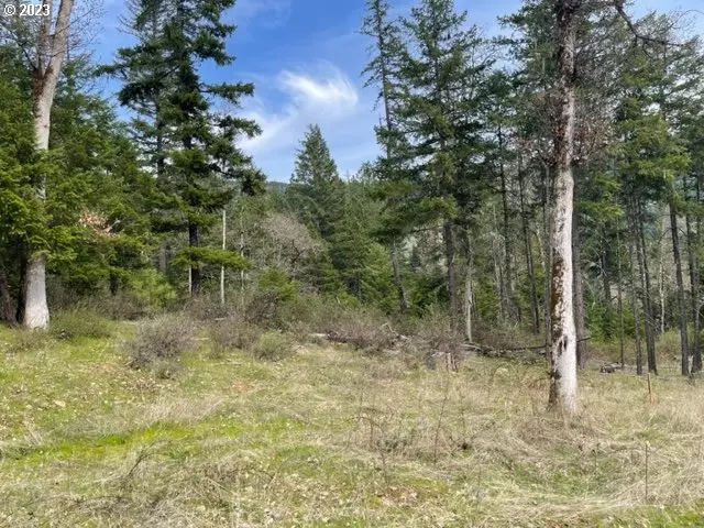 White Salmon, WA 98672,Bear Spring RD