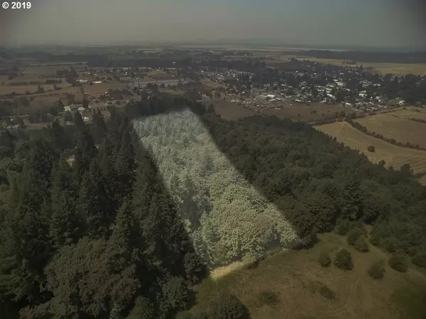 Scio, OR 97374,38768 Hwy 226 #1500