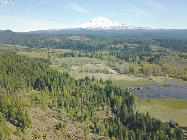 Trout Lake Creek RD #1, Trout Lake, WA 98650