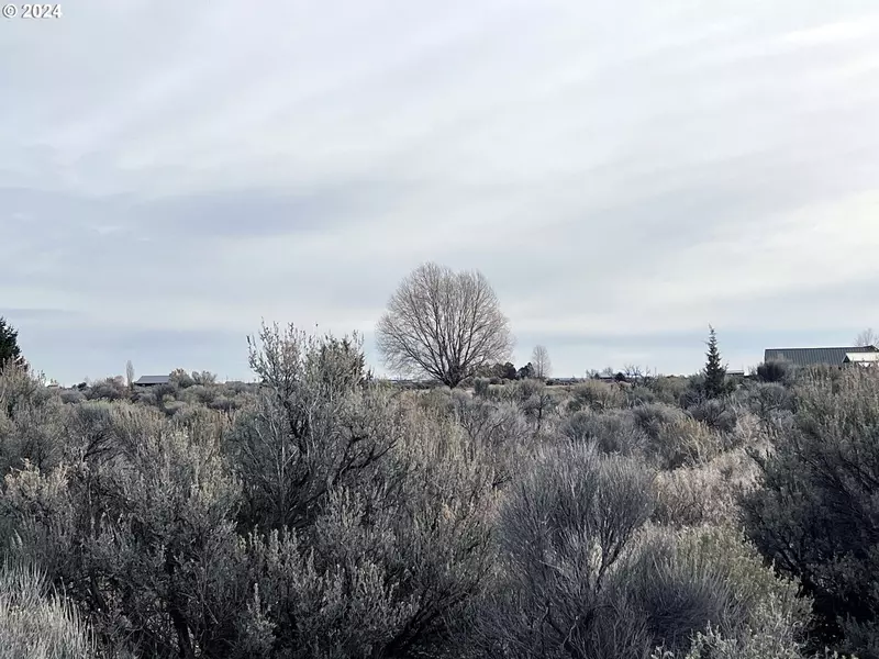 Buckskin RD #300, Christmas Valley, OR 97641