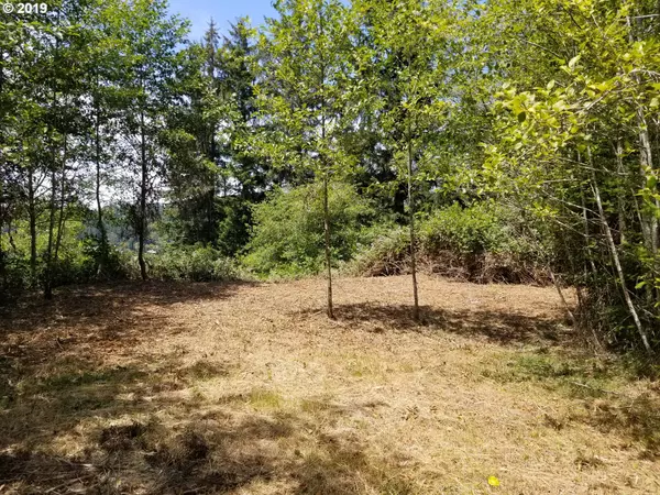 Lakeside, OR 97449,0 Osprey Heights