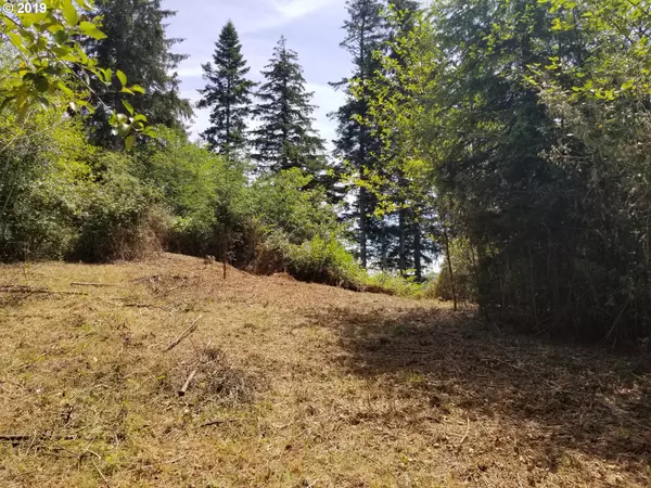 Lakeside, OR 97449,0 Osprey Heights