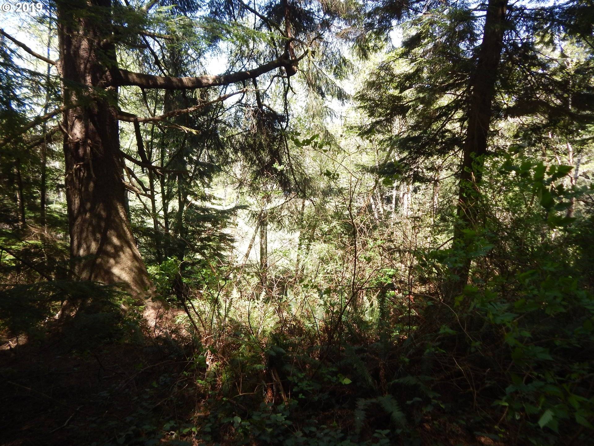 Coos Bay, OR 97420,0 Ocean BLVD