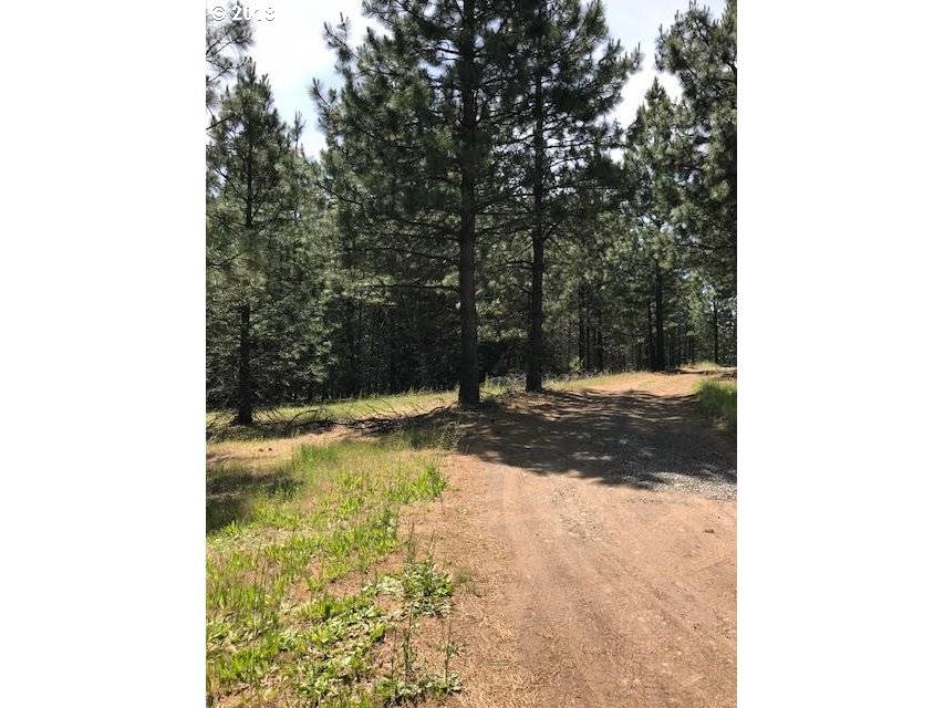 Lyle, WA 98635,41 Meadows LOOP