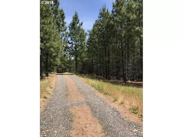 Lyle, WA 98635,41 Meadows LOOP