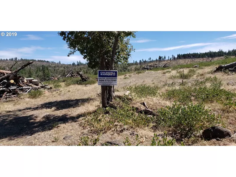 20 BUCK RIDGE DR, Goldendale, WA 98620