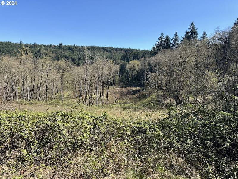 Smith RD, St Helens, OR 97051