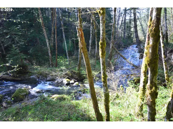 Washougal, WA 98671,0 L 1200 RD