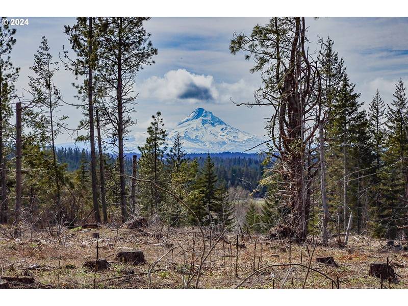 Lot 2 Plantation DR, White Salmon, WA 98672