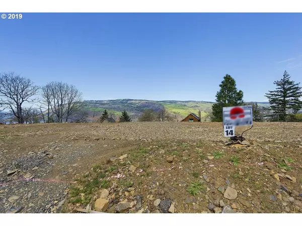 Mosier, OR 97040,Penstemon CT #14