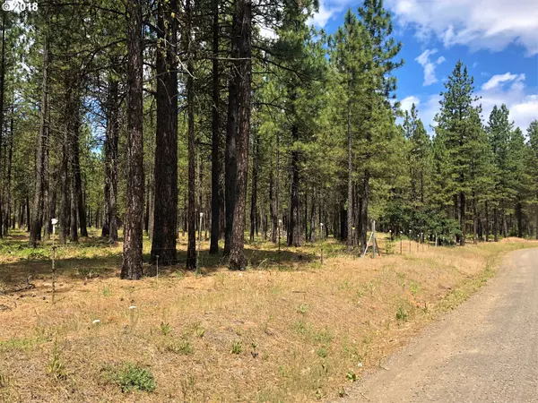 Goldendale, WA 98620,Boardman WAY #Lot 1