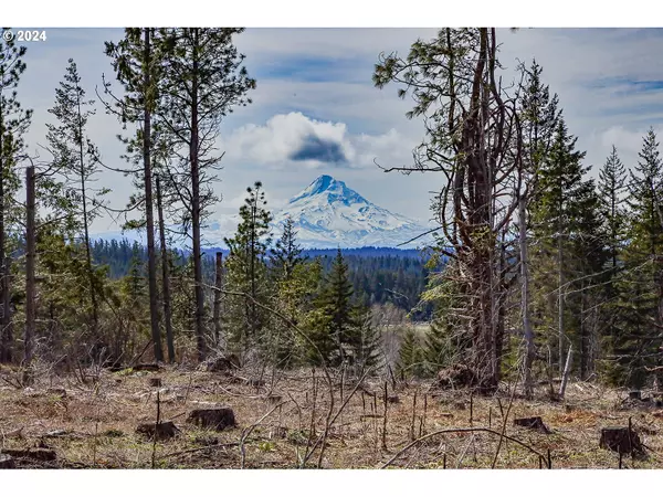 White Salmon, WA 98672,Lot 2 Plantation DR