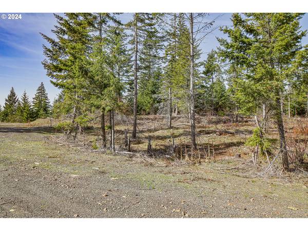 White Salmon, WA 98672,Lot 2 Plantation DR