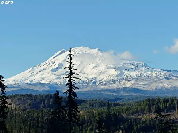 Trout Lake Creek RD #2, Trout Lake, WA 98650