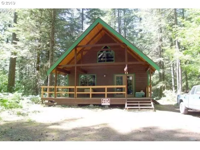 Cabin 121 Northwoods, Cougar, WA 98616