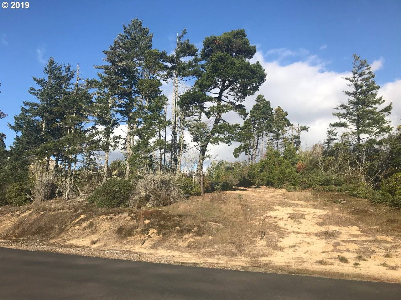 Florence, OR 97439,51 Dunewood DR