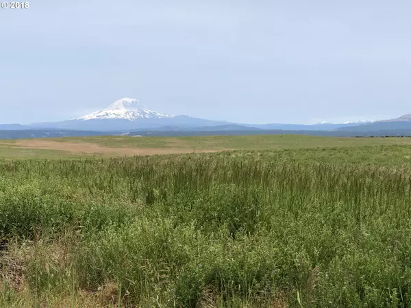 Goldendale, WA 98620,SHULL RANCH RD #4 B