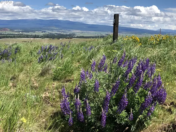 Goldendale, WA 98620,SHULL RANCH RD #4 A