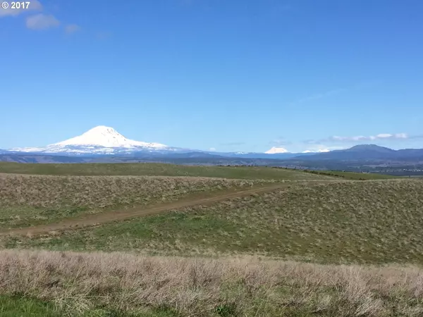 Goldendale, WA 98620,SHULL RANCH #1B