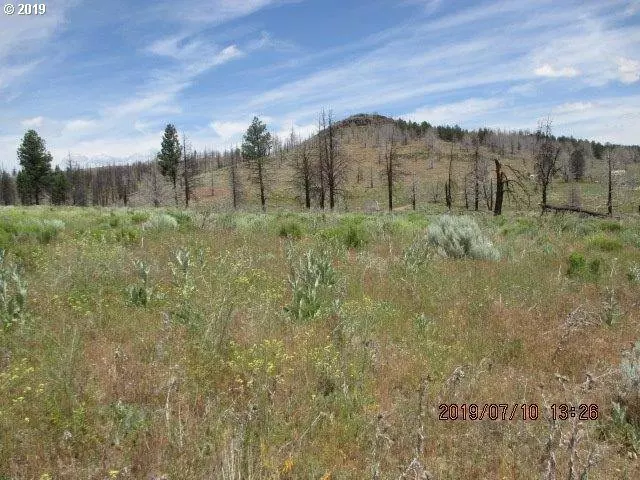 Sprague River, OR 97639,Ruffed Grouse