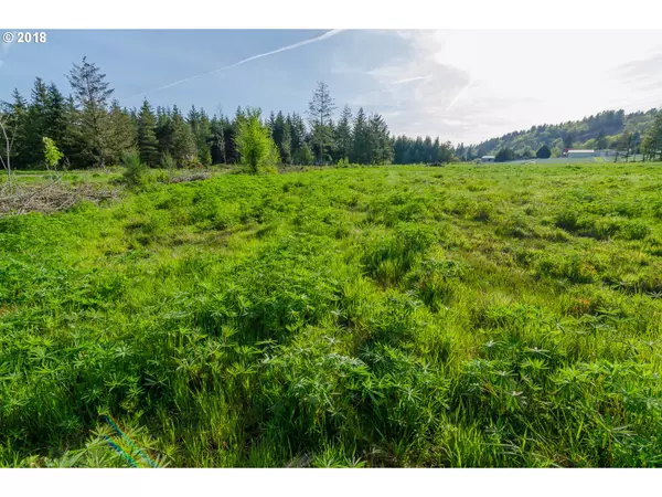 Woodland, WA 98674,270 ELISE LN #2