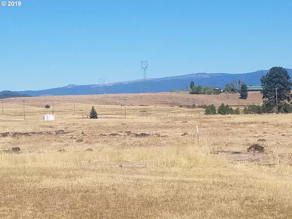 Goldendale, WA 98620,57 HARRIS RD