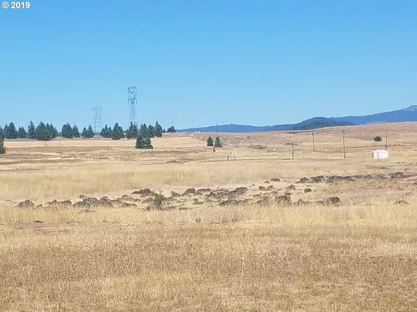 Goldendale, WA 98620,57 HARRIS RD