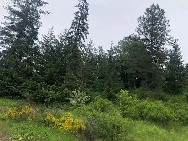 White Salmon, WA 98672,NW CATALINA LN