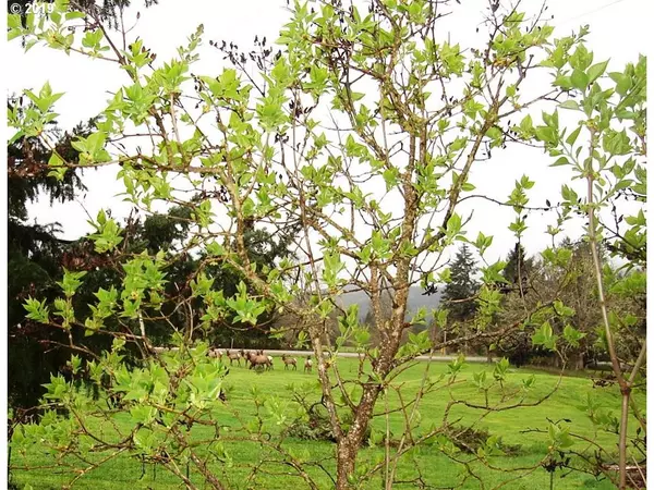 Azalea, OR 97410,1020 QUINES CREEK RD