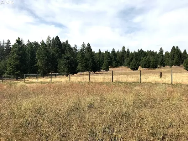 Goldendale, WA 98620,656 PINE FOREST RD