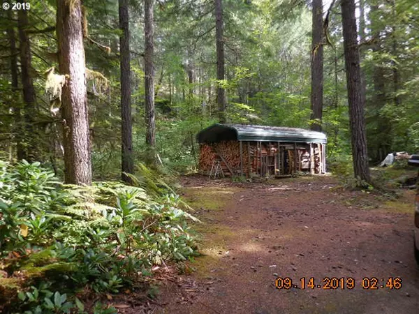 Cougar, WA 98616,Cabin 61 Northwoods