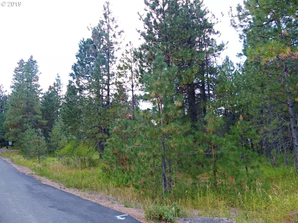 Trout Lake, WA 98650,Greenwood RD #11