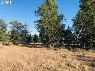 Goldendale, WA 98620,Lot 116 Juniper #1