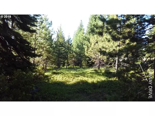 Klamath Falls, OR 97601,600 TL Skiway DR