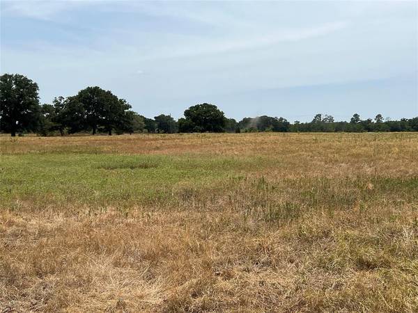 TBD VZ County Road 1905, Fruitvale, TX 75127