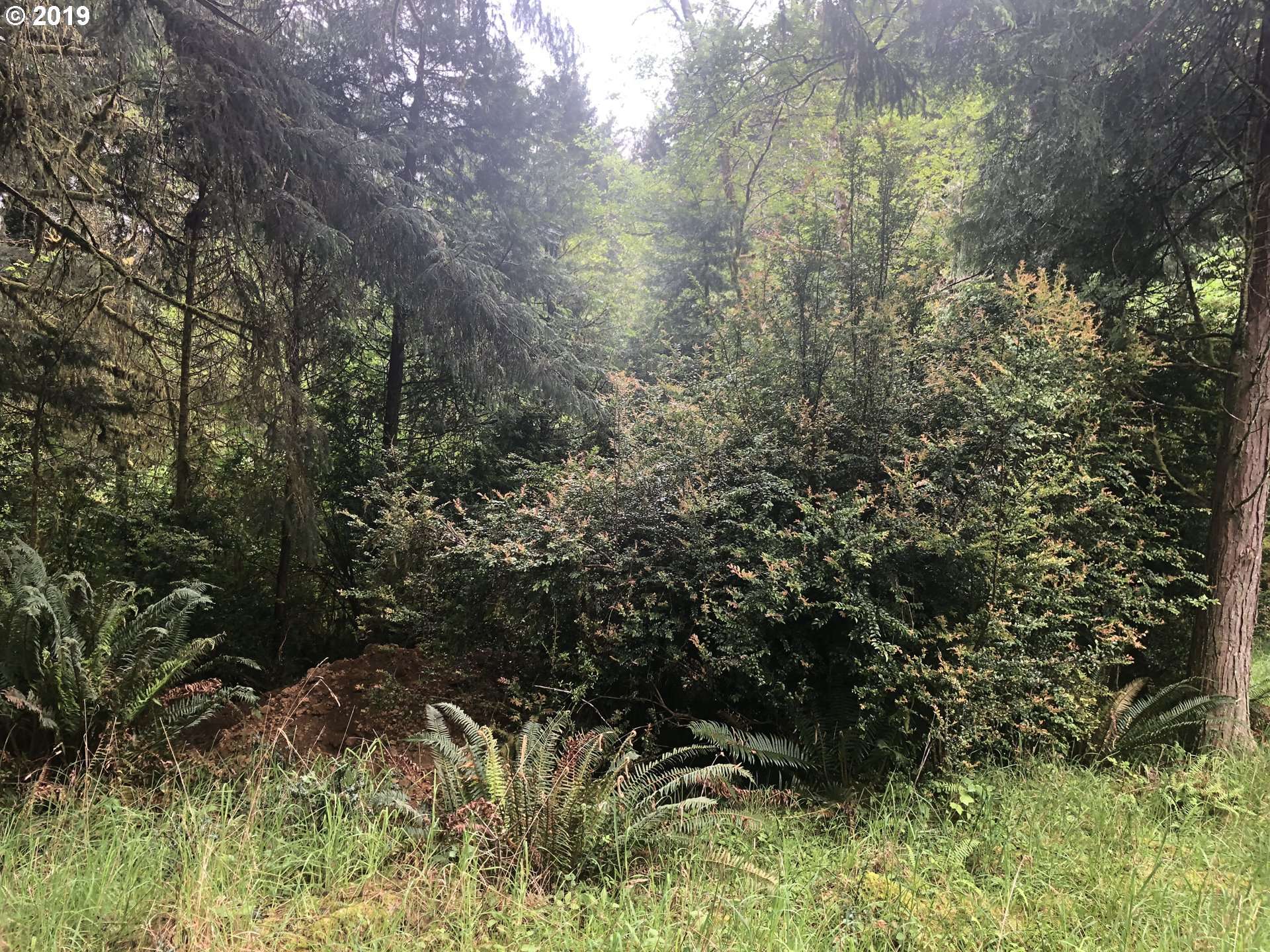 Florence, OR 97439,Boy Scout RD