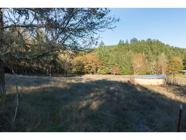 Oakland, OR 97462,1544 RACCOON DR #LAND