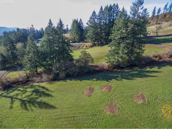 Woodland, WA 98674,180 Junco LN