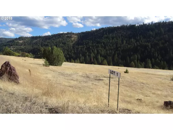 0 Martin LN #1,  Long Creek,  OR 97856