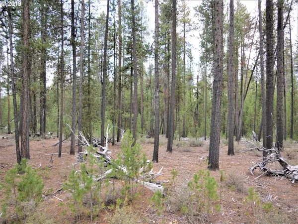 Crescent Lake, OR 97733,19 Bunny Butte