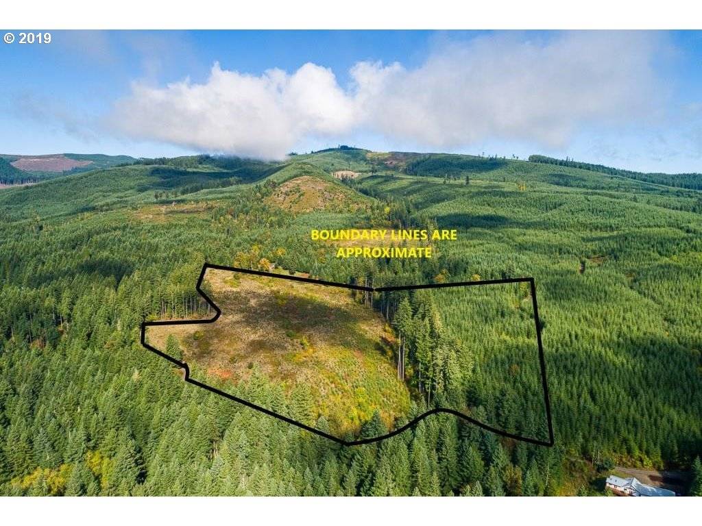 Boiler Creek RD, Marcola, OR 97454