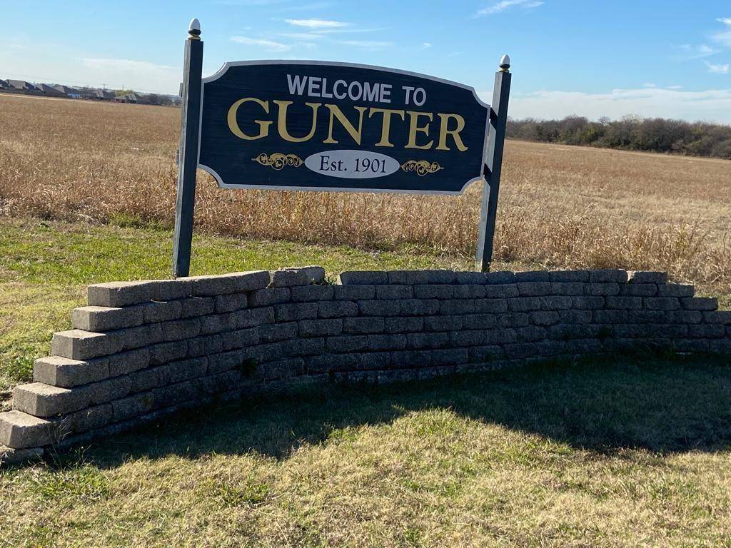 Gunter, TX 75058,HWY 289 TX-289