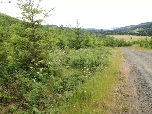 31369 Fireclay RD #Lot#2, Cottage Grove, OR 97424