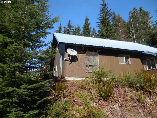 Cougar, WA 98616,Lot 12 Wilderness DR