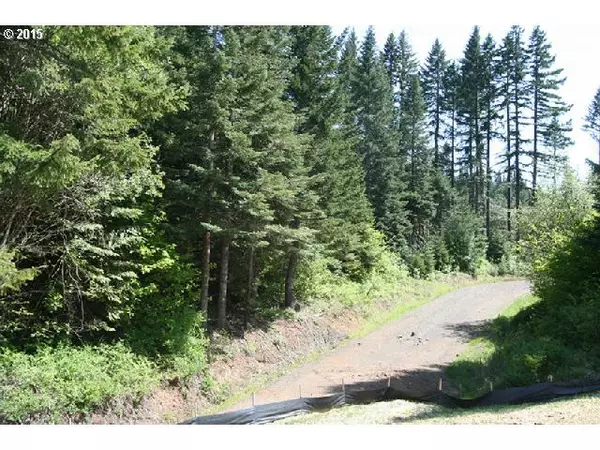 Snowden, WA 98672,546 Courtney RD