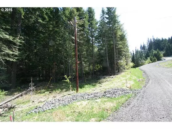 Snowden, WA 98672,546 Courtney RD