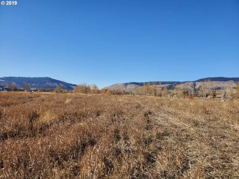 Diamond Lane Lot 1 LN, La Grande, OR 97850